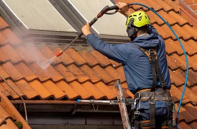 Démoussage et hydrofuge de toiture à Trégarvan